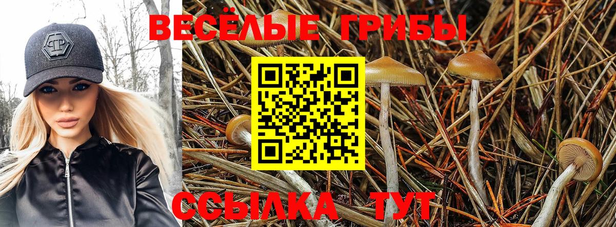 Псилоцибиновые грибы ЛСД Богданович